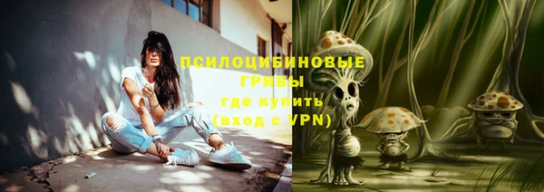 PSILOCYBIN Пестово