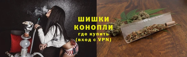 PSILOCYBIN Пестово