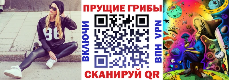 площадка клад  где найти   Серов  Галлюциногенные грибы MAGIC MUSHROOMS 